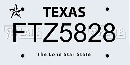 FTZ5828 Texas License Plate