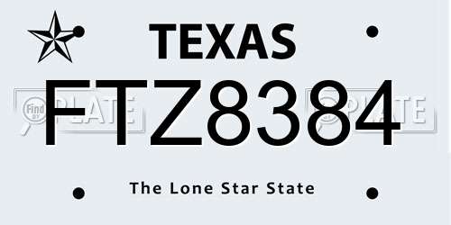 FTZ8384 Texas License Plate