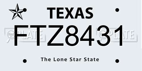 FTZ8431 Texas License Plate