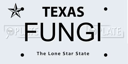 FUNGI Texas License Plate