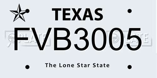 FVB3005 Texas License Plate