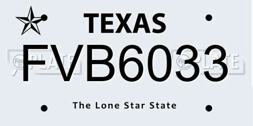 FVB6033 Texas License Plate