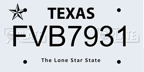 FVB7931 Texas License Plate