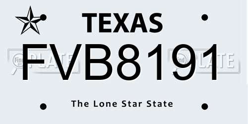 FVB8191 Texas License Plate