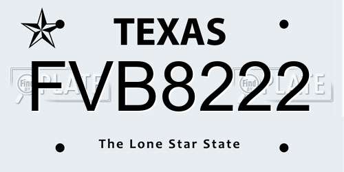 FVB8222 Texas License Plate