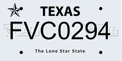 FVC0294 Texas License Plate