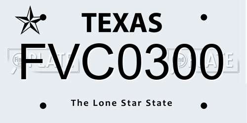 FVC0300 Texas License Plate