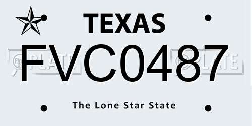 FVC0487 Texas License Plate