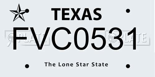 FVC0531 Texas License Plate