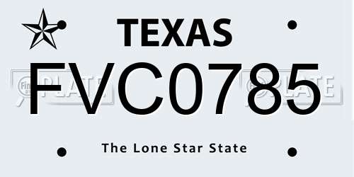 FVC0785 Texas License Plate