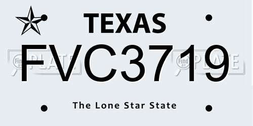 FVC3719 Texas License Plate