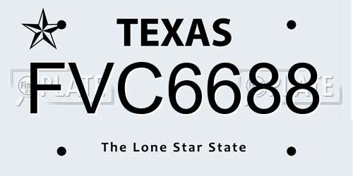 FVC6688 Texas License Plate
