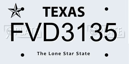 FVD3135 Texas License Plate