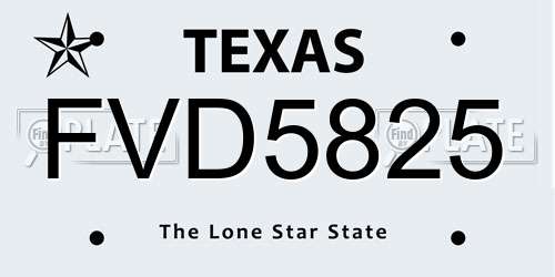 FVD5825 Texas License Plate