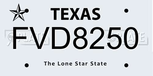 FVD8250 Texas License Plate