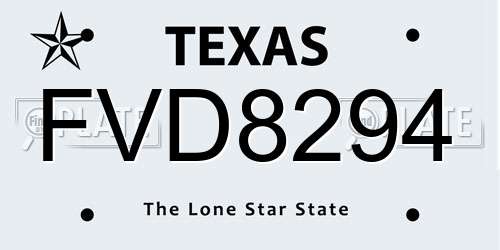 FVD8294 Texas License Plate