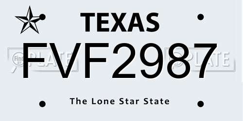 FVF2987 Texas License Plate