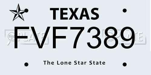 FVF7389 Texas License Plate
