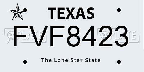 FVF8423 Texas License Plate