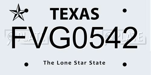 FVG0542 Texas License Plate