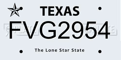 FVG2954 Texas License Plate