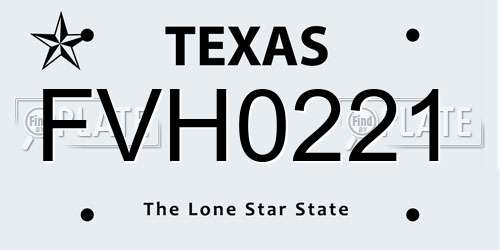 FVH0221 Texas License Plate