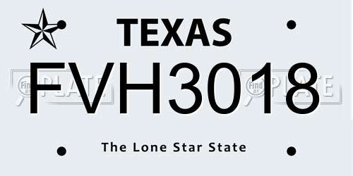 FVH3018 Texas License Plate