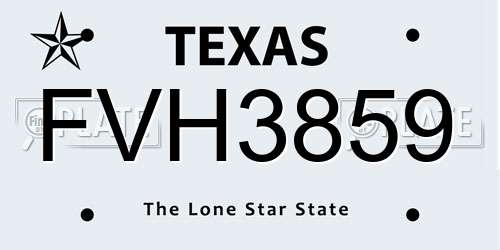 FVH3859 Texas License Plate