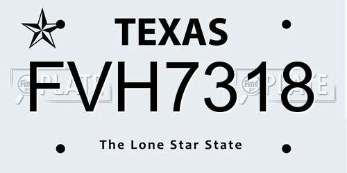 FVH7318 Texas License Plate
