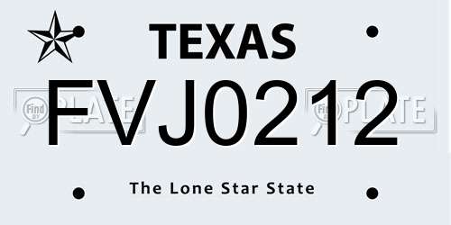 FVJ0212 Texas License Plate