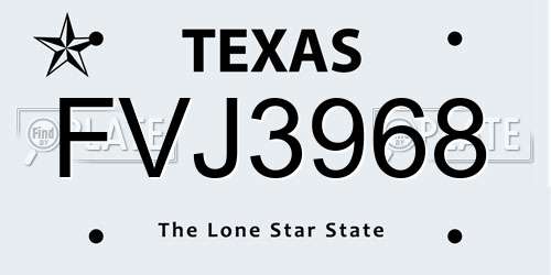 FVJ3968 Texas License Plate