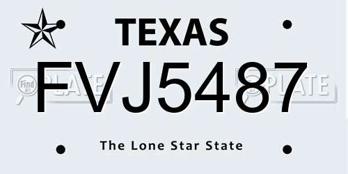 FVJ5487 Texas License Plate