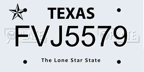 FVJ5579 Texas License Plate