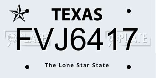 FVJ6417 Texas License Plate