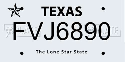 FVJ6890 Texas License Plate