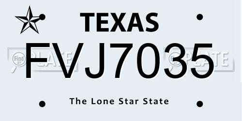 FVJ7035 Texas License Plate