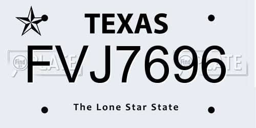 FVJ7696 Texas License Plate