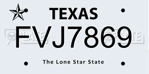 FVJ7869 Texas License Plate