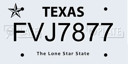 FVJ7877 Texas License Plate