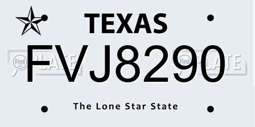 FVJ8290 Texas License Plate