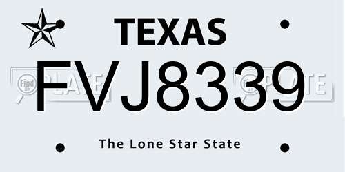 FVJ8339 Texas License Plate