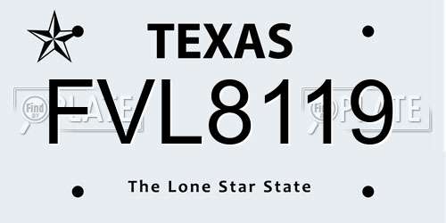 FVL8119 Texas License Plate