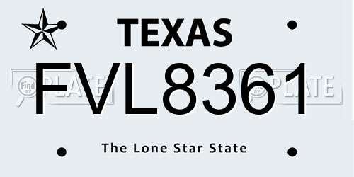 FVL8361 Texas License Plate