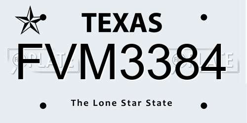 FVM3384 Texas License Plate