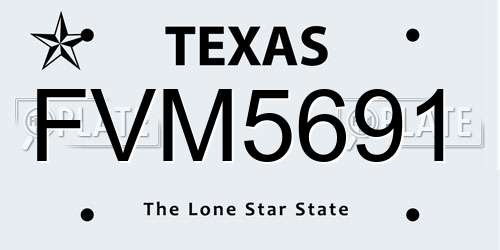 FVM5691 Texas License Plate