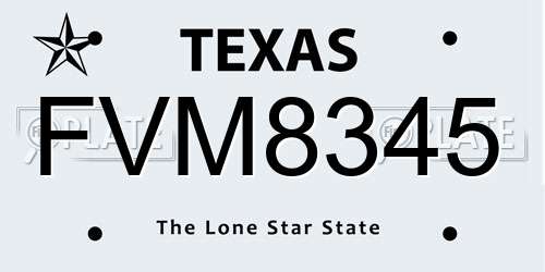 FVM8345 Texas License Plate