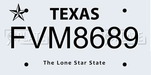 FVM8689 Texas License Plate