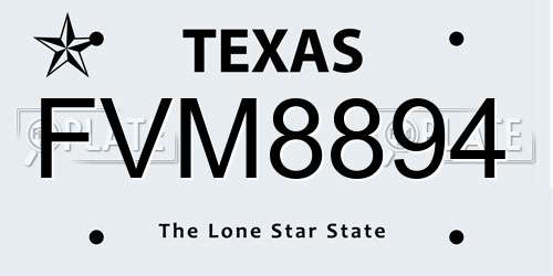 FVM8894 Texas License Plate