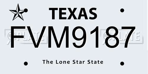 FVM9187 Texas License Plate