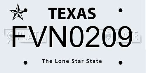 FVN0209 Texas License Plate